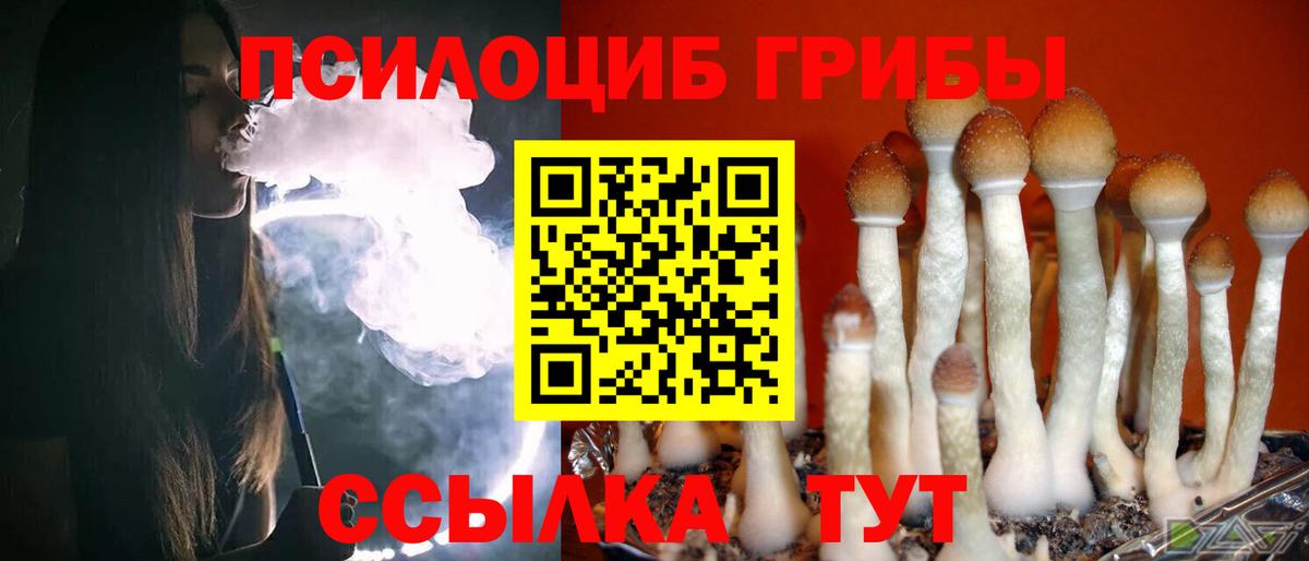 Галлюциногенные грибы GOLDEN TEACHER  Псилоцибиновые грибы Psilocybe  Добрянка  Вход с VPN 