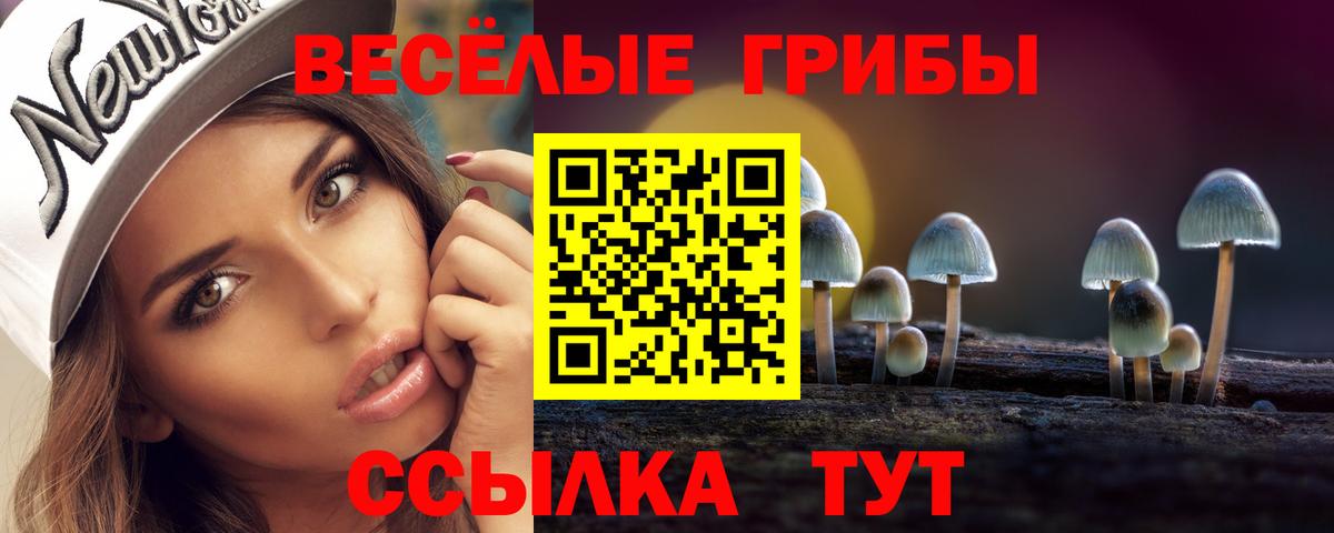 Псилоцибиновые грибы GOLDEN TEACHER Добрянка